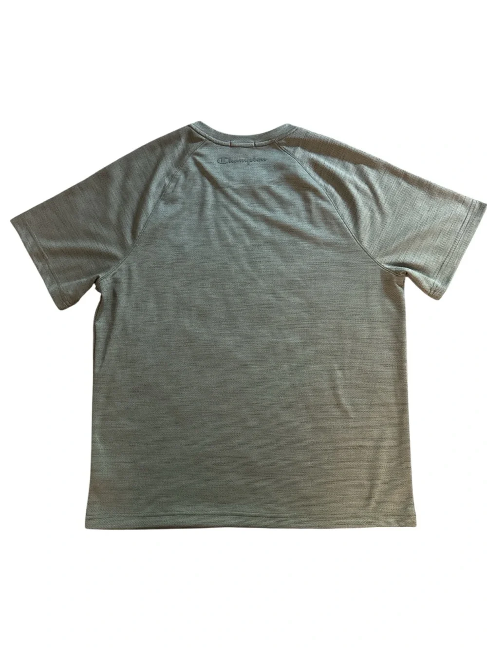 Champion Light Green Short Sleeve Performance Tee Mens Size Large Quick Dry Top - Picture 2 of 6